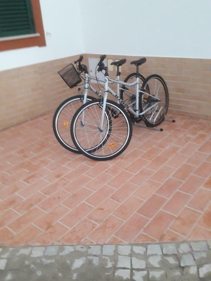 Alojamento Local Patudos, Suite Com Terraco Privado تافيرا المظهر الخارجي الصورة
