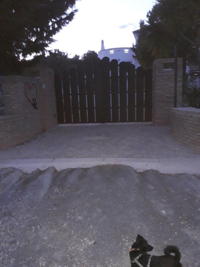 Alojamento Local Patudos, Suite Com Terraco Privado تافيرا المظهر الخارجي الصورة